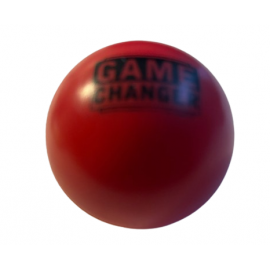 Game Changer Small Ball